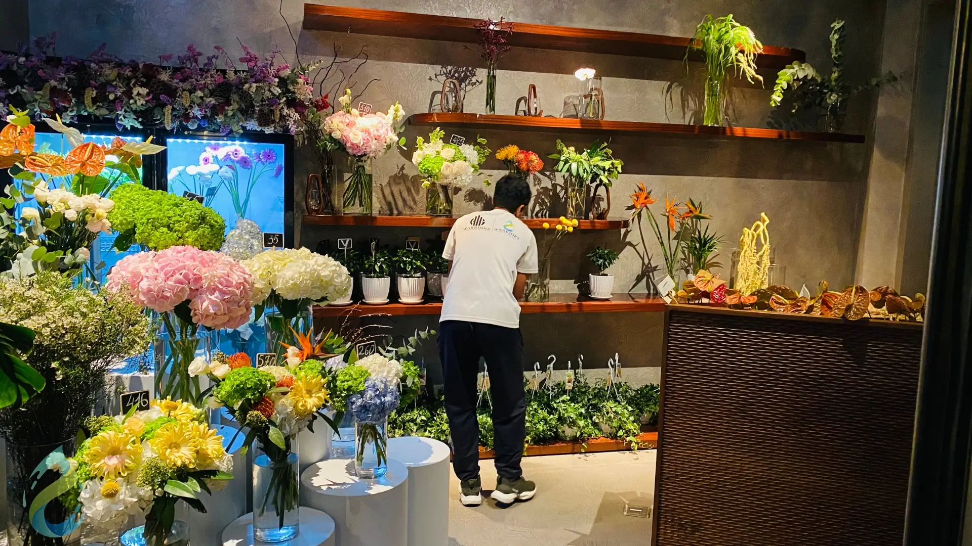 Indoor Plants Care Service By Warriors Landscape at Marina Dubai