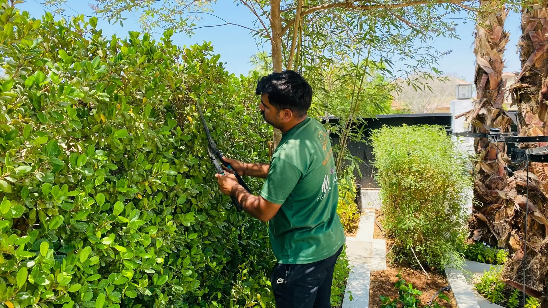 Seasonal Maintenance by Warriors Landscape